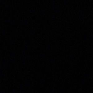 Meet your Posher, Sandy